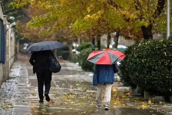 بارش برف و باران در بیشتر مناطق کشور/ کاهش کیفیت هوا از فردا