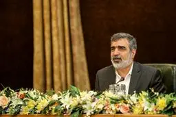 سازمان بر اساس قانون غنی سازی ۲۰ درصد را اجرا کرده است
