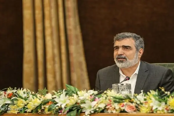 سازمان بر اساس قانون غنی سازی ۲۰ درصد را اجرا کرده است
