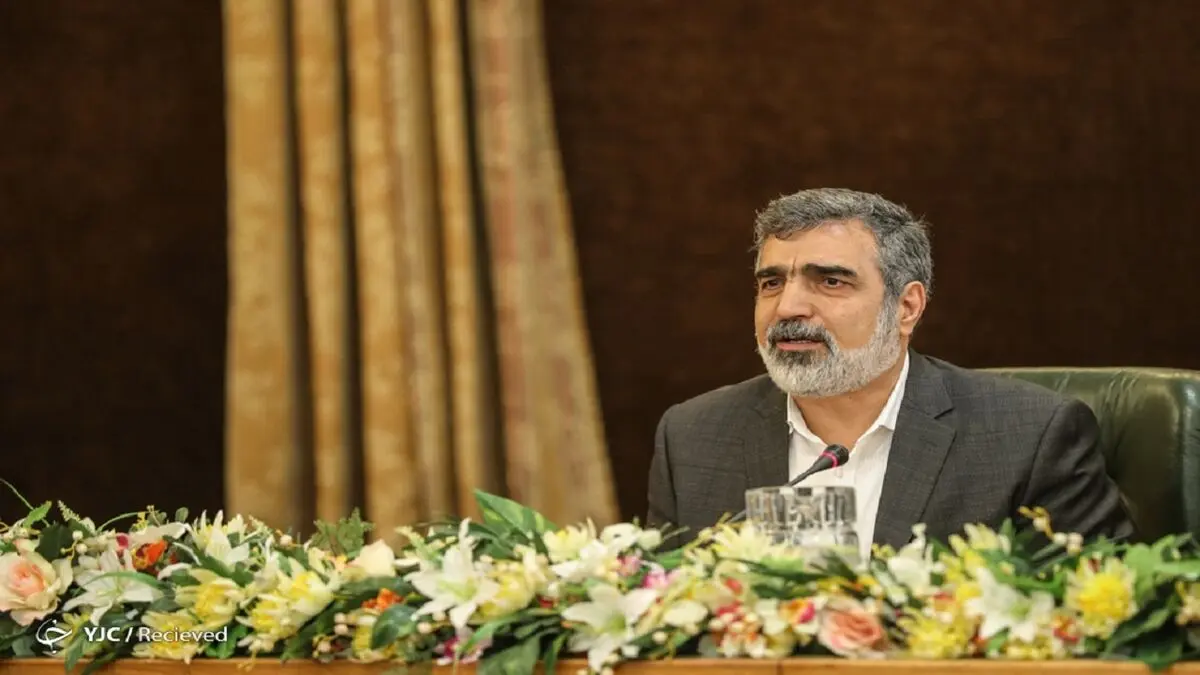 سازمان بر اساس قانون غنی سازی ۲۰ درصد را اجرا کرده است

