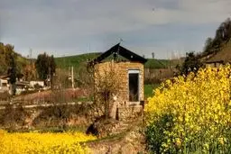 تورم تولید کننده زراعت و باغداری به ۲۱.۷ درصد رسید