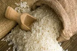 افزایش ۱۴۸ درصدی قیمت برنج وارداتی
