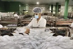 چرا سرم کم است؟