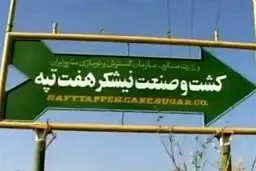 فیلم: دولت با کارگران هفت تپه چه کرد؟