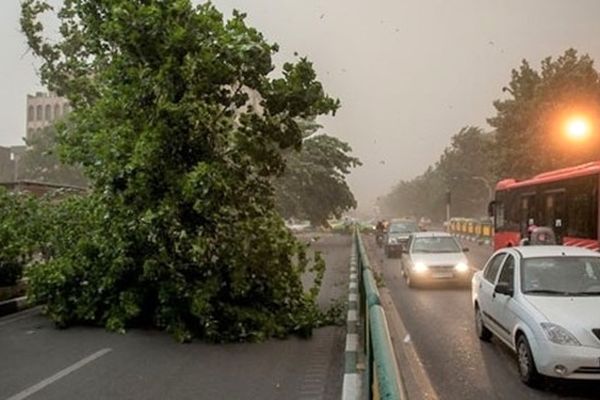 هشدار هواشناسی نسبت به وزش باد شدید در تهران