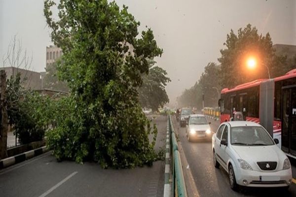 هشدار هواشناسی نسبت به وزش باد شدید در تهران 