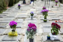 کرونای انگلیسی در کشور رو به افزایش است