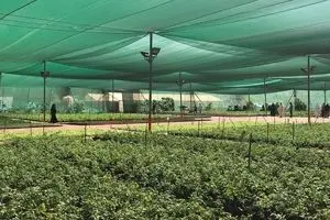 راهنمای خرید توری سایبان مناسب برای باغ، پارکینگ و فضای باز