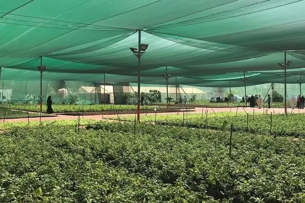 راهنمای خرید توری سایبان مناسب برای باغ، پارکینگ و فضای باز
