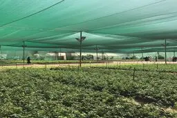 راهنمای خرید توری سایبان مناسب برای باغ، پارکینگ و فضای باز