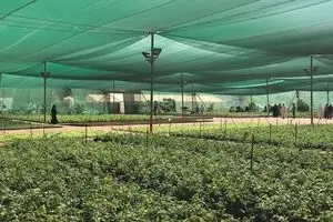 راهنمای خرید توری سایبان مناسب برای باغ، پارکینگ و فضای باز