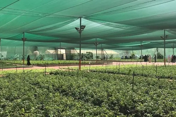 راهنمای خرید توری سایبان مناسب برای باغ، پارکینگ و فضای باز