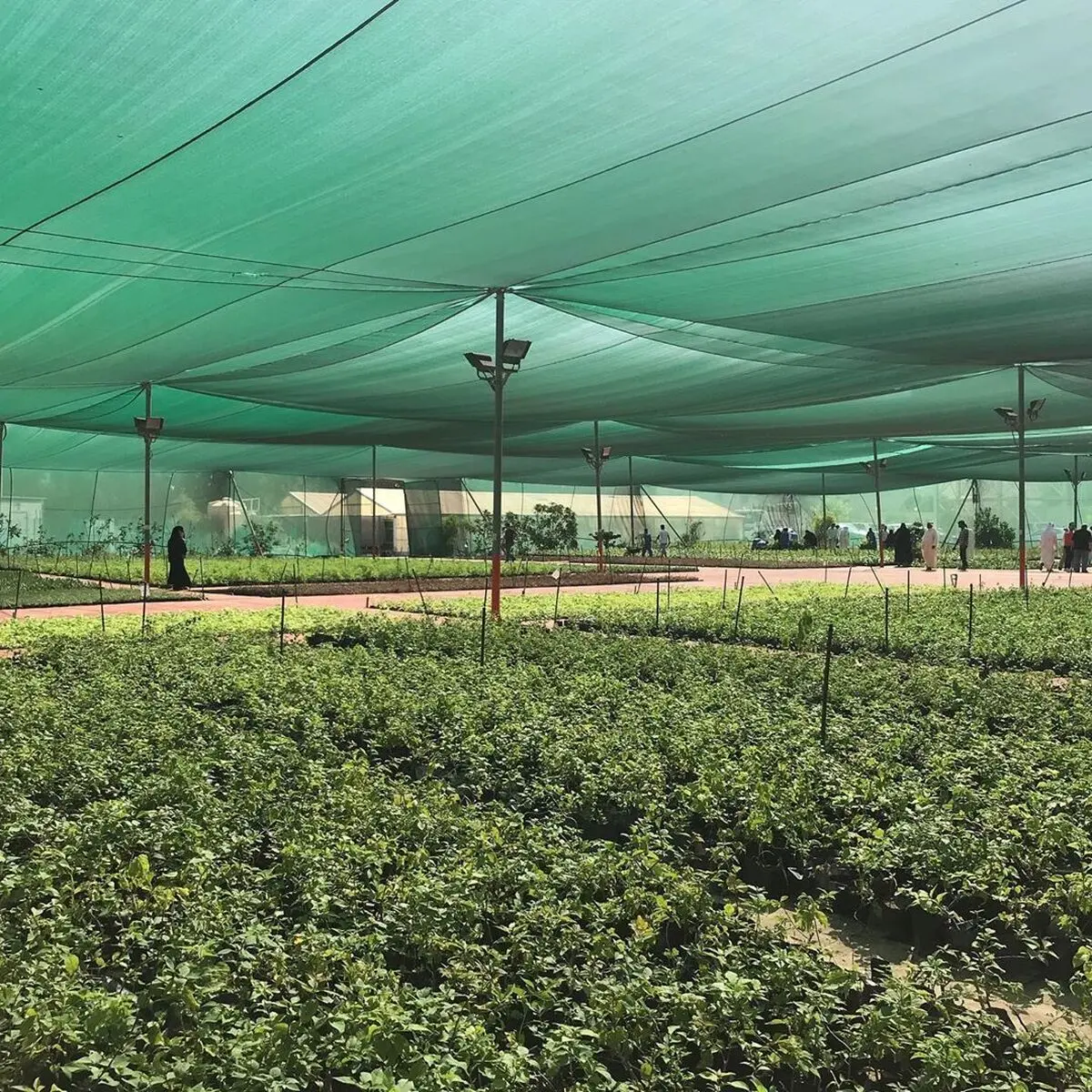 راهنمای خرید توری سایبان مناسب برای باغ، پارکینگ و فضای باز