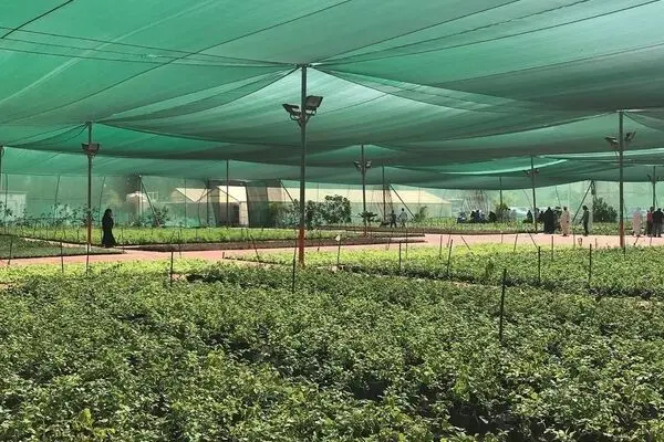 راهنمای خرید توری سایبان مناسب برای باغ، پارکینگ و فضای باز