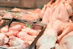  سرپیچی مرغ از تنظیم بازار 