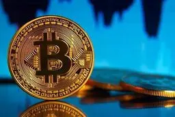 ریزش بیتکوین ادامه یافت
