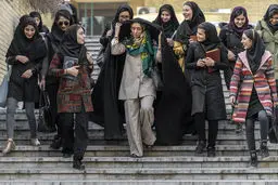  لطفا «جوجه تیغی» نباشید!