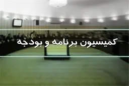  رسیدگی به تحقیق و تفحص از عملکرد نهاد ریاست جمهوری در مجلس 