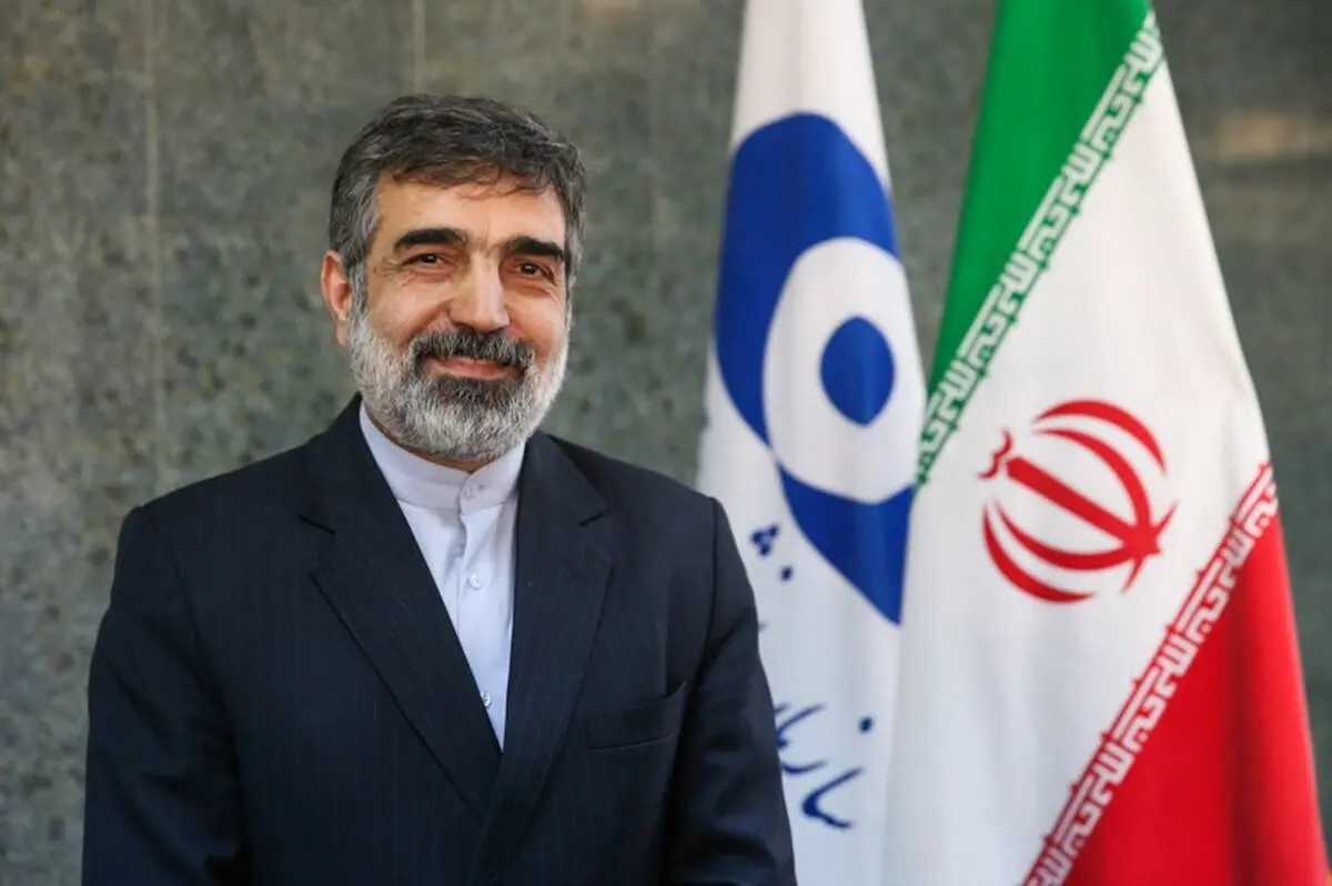 محورهای گفتگوهای گروسی ترتیبات اجرایی توقف نظارت‌های فراپادمانیست