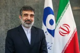 محورهای گفتگوهای گروسی ترتیبات اجرایی توقف نظارت‌های فراپادمانیست