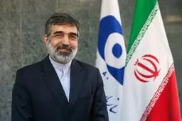 محورهای گفتگوهای گروسی ترتیبات اجرایی توقف نظارت‌های فراپادمانیست