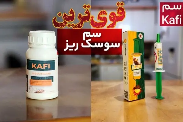 قوی ترین سم سوسک ریز دیجی کالا کدام است؟