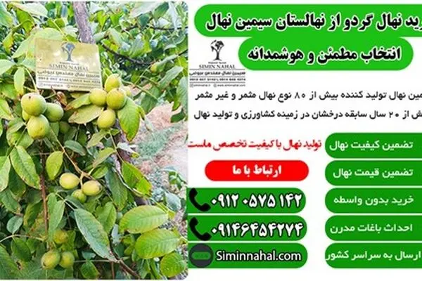 نهال گردو، سرمایه گذاری تضمین شده