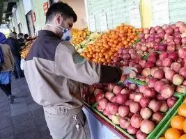 جهش قیمت مواد غذایی در مهر ۱۴۰۴؛ سبزیجات و میوه‌ها رکورد زدند