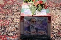  درخواست صدور اعلان قرمز برای عوامل ترور شهید فخری‌زاده 