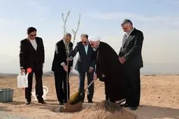 یک روز درختکاری، 364 روز تخریب