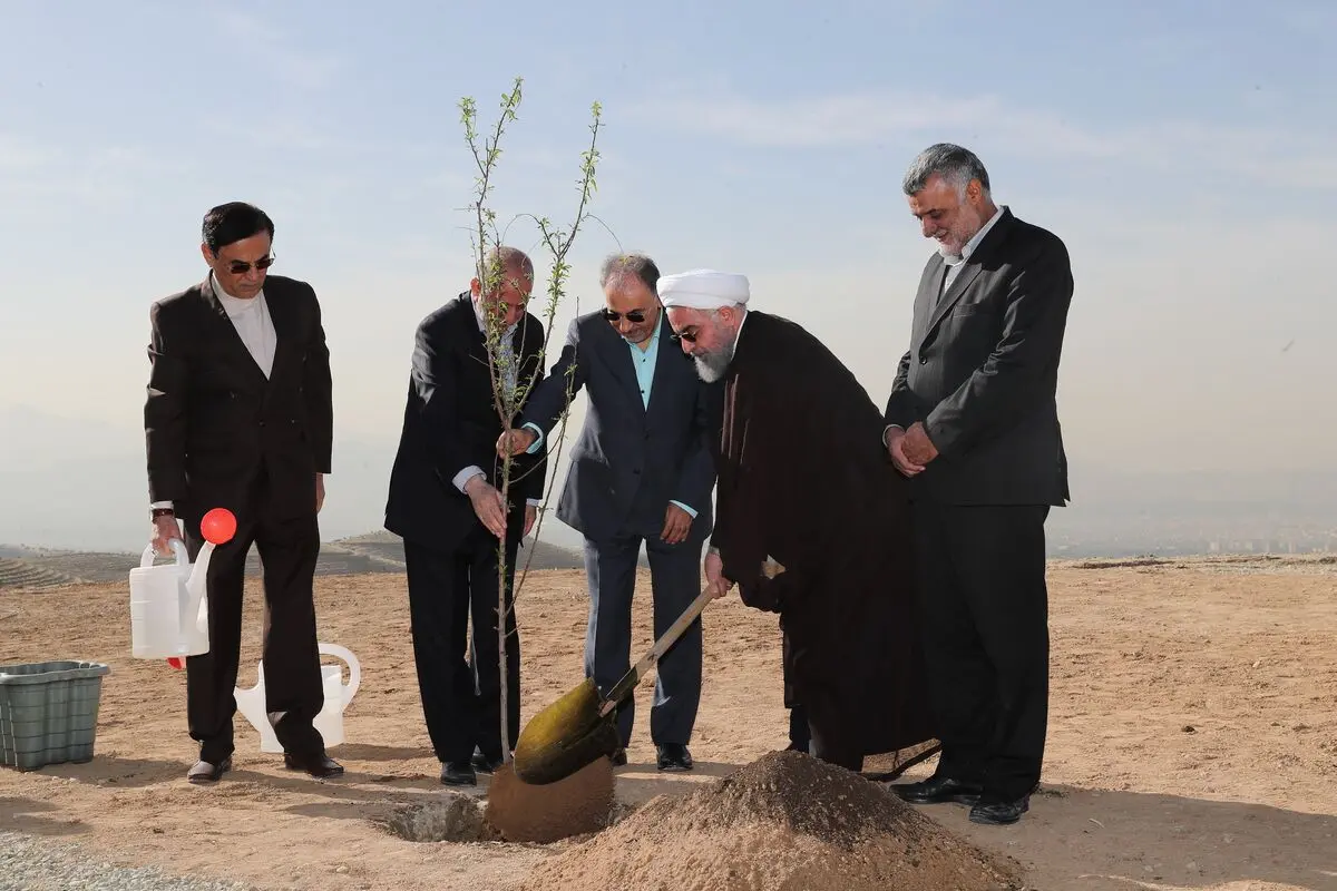 یک روز درختکاری، 364 روز تخریب