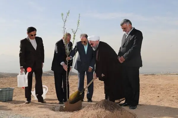 یک روز درختکاری، 364 روز تخریب