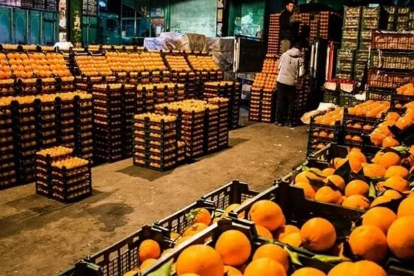  قیمت میوه شب عید اعلام شد 