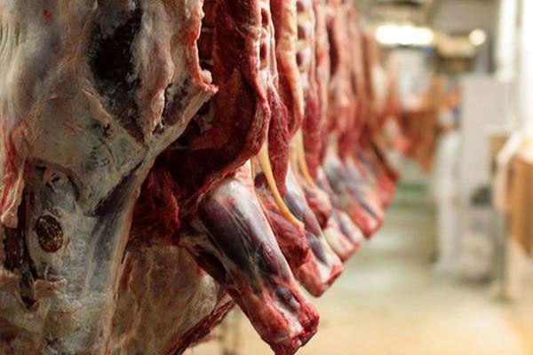 رکود شدید در بازار گوشت قرمز