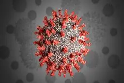  تشخیص کرونای انگلیسی چگونه است؟ 