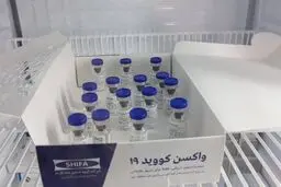  درصد مردم واکسن کرونا ایرانی را تزریق می‌کنند