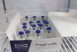  درصد مردم واکسن کرونا ایرانی را تزریق می‌کنند