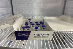  تزریق واکسن کوو ایران برکت به سه داوطلب اول 
