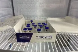 تزریق واکسن کوو ایران برکت به سه داوطلب اول 