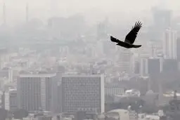 سالانه ۵۷ هزار مرگ و ۱۸ میلیارد دلار خسارت ناشی از آلودگی هوا در ایران