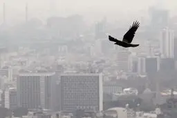 سالانه ۵۷ هزار مرگ و ۱۸ میلیارد دلار خسارت ناشی از آلودگی هوا در ایران