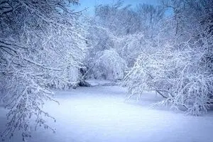 بارش گسترده برف و باران در بیشتر مناطق کشور/کاهش دما تا ۱۵ درجه