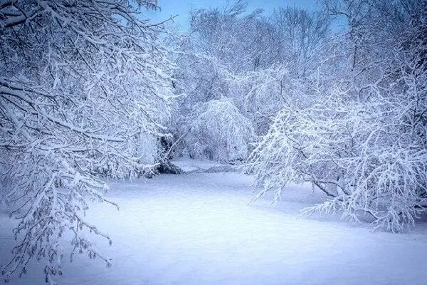 بارش گسترده برف و باران در بیشتر مناطق کشور/کاهش دما تا ۱۵ درجه