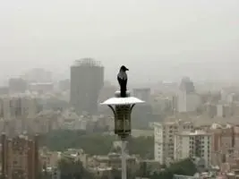 هشدار نارنجی آلودگی هوا در چند کلان‌شهر؛ برف و باران در راه از غرب کشور