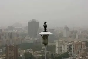 آلودگی هوای تهران تا دوشنبه آینده ادامه دارد | شرایط برای گروه‌های حساس ناسالم است