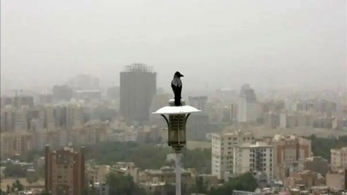 تهران زیر گنبد دود؛ پایتخت تنها ۶ روز هوای پاک داشت