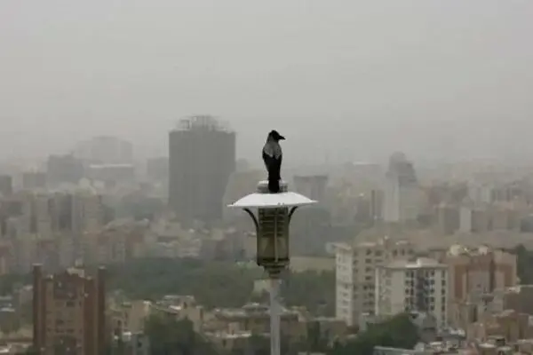 هشدار آلودگی هوا تا پایان هفته و بارش پراکنده در برخی مناطق
