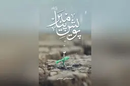 نمی از دریای وجود حضرت رسول (ص) در «پویش پیامبر»