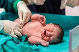 ثبت بیش از ۱۶۸ هزار تولد و ۷۱ هزار فوتی در دو ماهه اول امسال