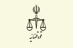 پیگرد قانونی مجری فضای مجازی به دلیل 